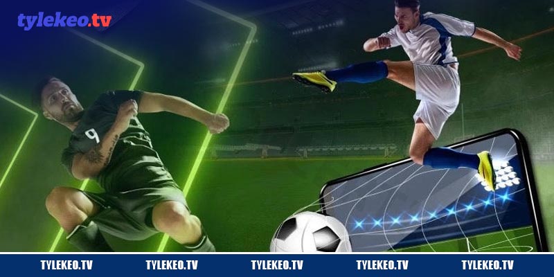Soi kèo hiệu quả cho người mới tìm hiểu cá cược online